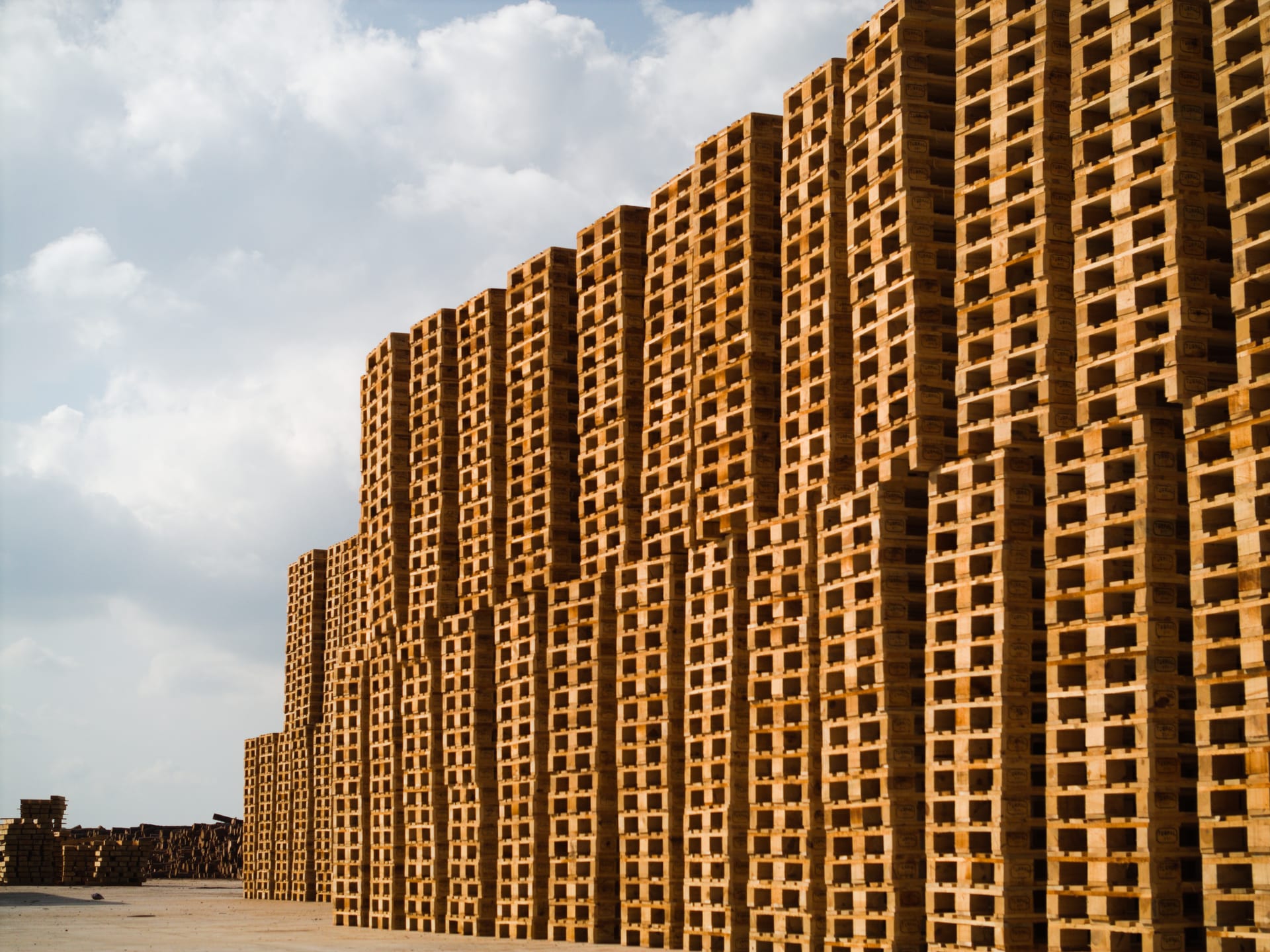 Ürün Çeşitliliği